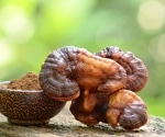 Scientists reviewed 20 edible and medicinal fungi for clues to better prebiotics