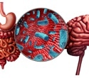Probiotics for mental health? A new review finds promising signals and major gaps