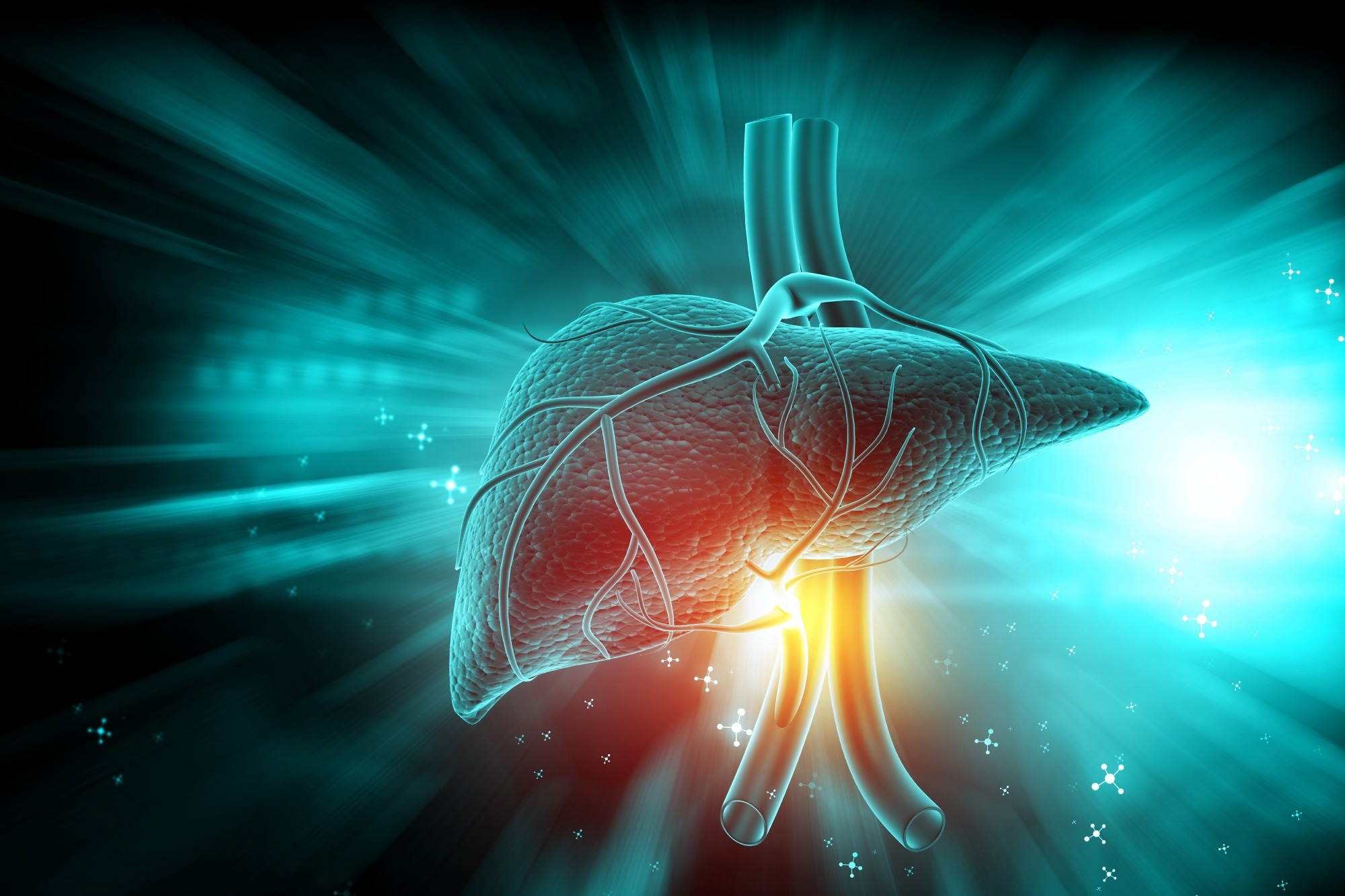Study: Effect of diet macronutrient content on the cardiometabolic response to weight loss: A randomized clinical trial. Image Credit: Explode / Shutterstock