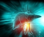 The scale told a similar story across three diets. The liver told a different one