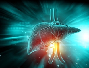 The scale told a similar story across three diets. The liver told a different one
