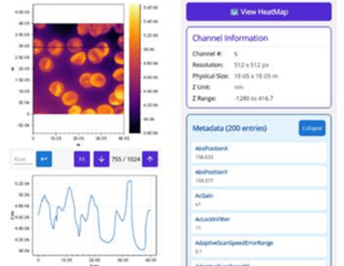 AFM data shouldn't need a workstation just to be looked at