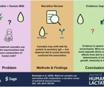 Breastmilk from cannabis users showed differences, but cannabis may not be the whole story