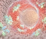Menopause may start changing the gut years before periods stop