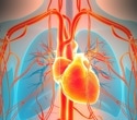 Too little or too much testosterone may matter for heart rhythm
