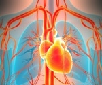Too little or too much testosterone may matter for heart rhythm