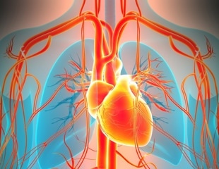 Too little or too much testosterone may matter for heart rhythm