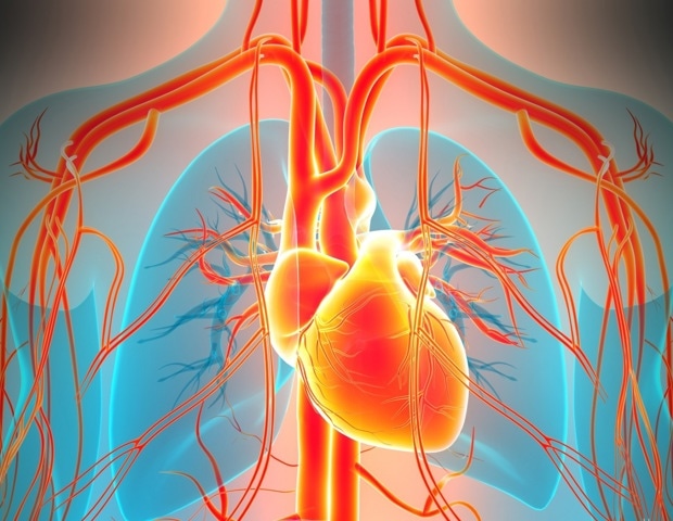 Too little or too much testosterone may matter for heart rhythm