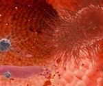 The obesity-microbiome story is more complicated than ‘good’ and ‘bad’ bacteria