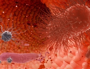 The obesity-microbiome story is more complicated than ‘good’ and ‘bad’ bacteria