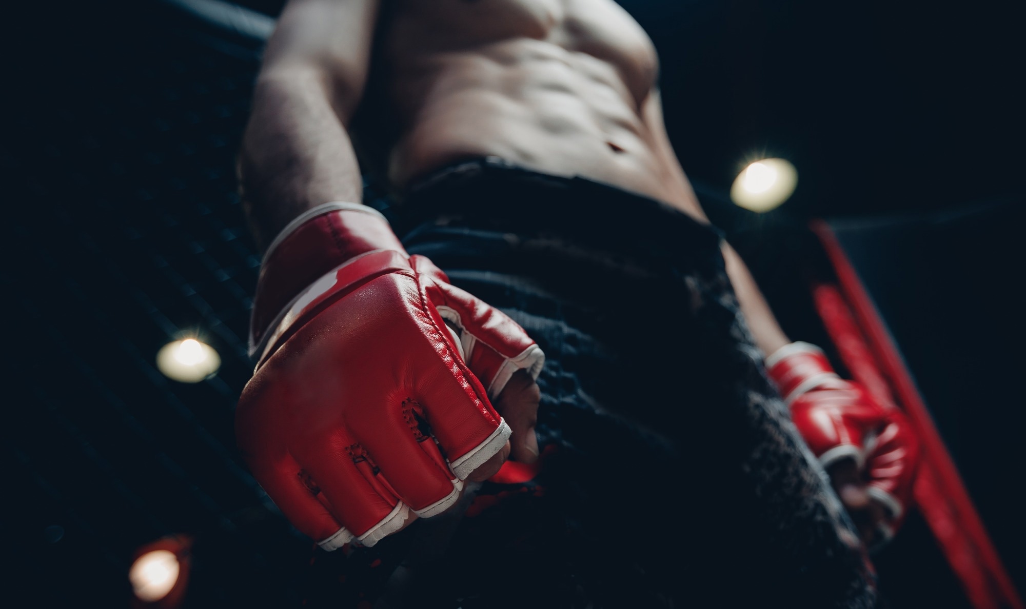 Study: Weigh-In to Fight Night: Dietary Strategies of Professional MMA Fighters. Image Credit: Parilov / Shutterstock