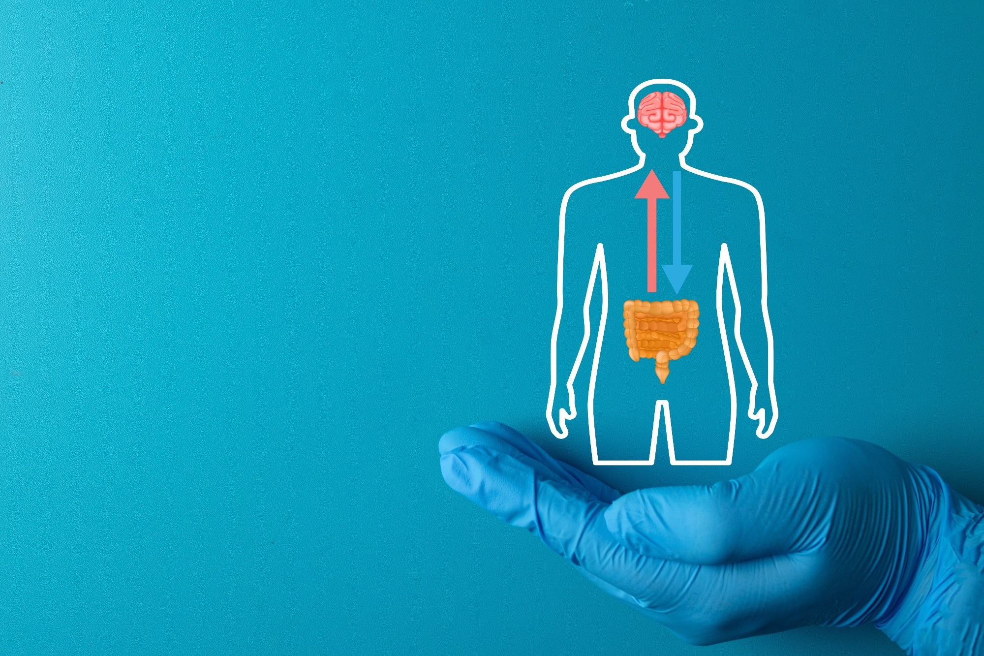 Review: Diet–gut microbiota–immune–brain interactions in aging: mechanistic pathways and clinical implications. Image Credit: Toey Andante / Shutterstock