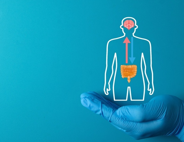 What your gut microbes may have to do with how your brain ages