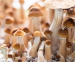 Psilocybin protects sensory nerves from chemotherapy damage in preclinical study