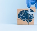Scientists traced a hidden immune route that may worsen tau-linked brain damage