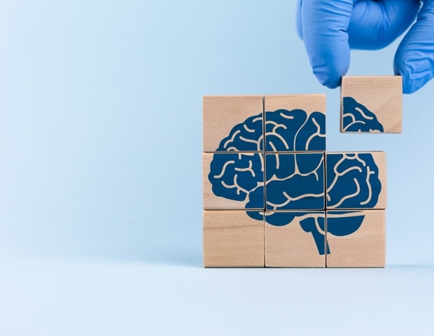 Scientists traced a hidden immune route that may worsen tau-linked brain damage