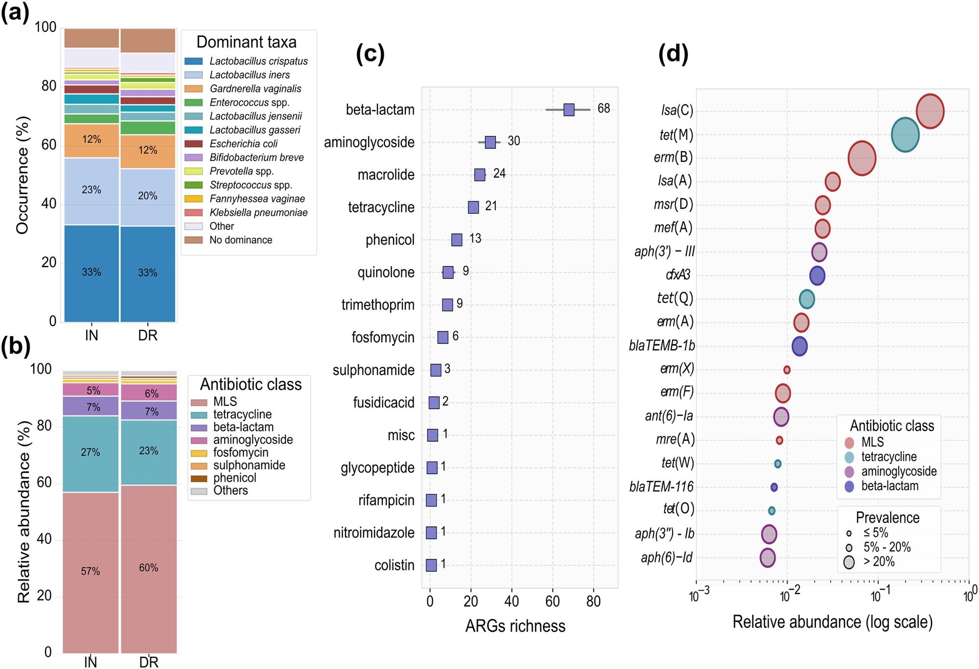 Dominant taxa and ARGs distribution. a Prevalence of microbial profiles based on the dominant taxa in inclusion (IN) and during delivery (DR) samples, displayed as the proportion of samples in which each taxon is dominant. Taxa were classified as dominant if they constituted ≥ 30% of the profile. ‘other’ refers to the number of samples with a different dominant taxon; ‘No dominance’ refers to the number of samples where no single species reached at least 30%. b Distribution of the top seven antibiotic classes across IN and DR ARG-positive samples. MLS refers to Macrolide-Lincosamide-Streptogramin antibiotic class (c) Average richness (number of unique resistance genes) per antibiotic class in all ARG-positive samples. Numerical values indicate average richness per class, with 90% confidence intervals. d Prevalence and mean relative abundance per sample of the top 20 ARGs in all ARG-positive samples. Each bubble represents one ARG; horizontal position shows the mean relative abundance (log scale); bubble size reflects prevalence, and color corresponds to antibiotic class.
