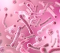 The vaginal microbiome may be an overlooked reservoir of antibiotic resistance