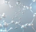 Could one amino acid help explain why men tend to live shorter lives?