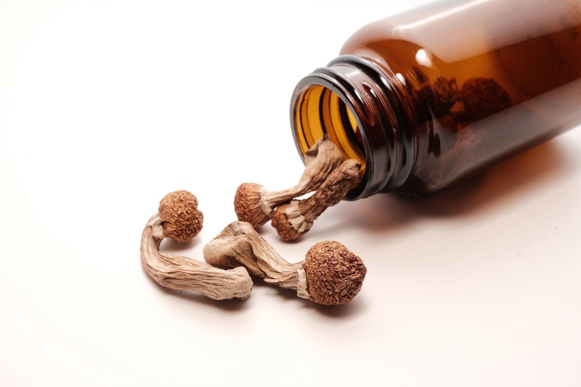 Study: Psilocybin as a treatment for repetitive mild head injury: evidence from neuroradiology and molecular biology. Image Credit: Deep Roots / Shutterstock