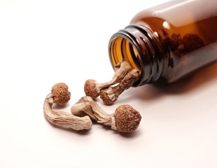 Why researchers are looking at psilocybin for repeated mild head injuries