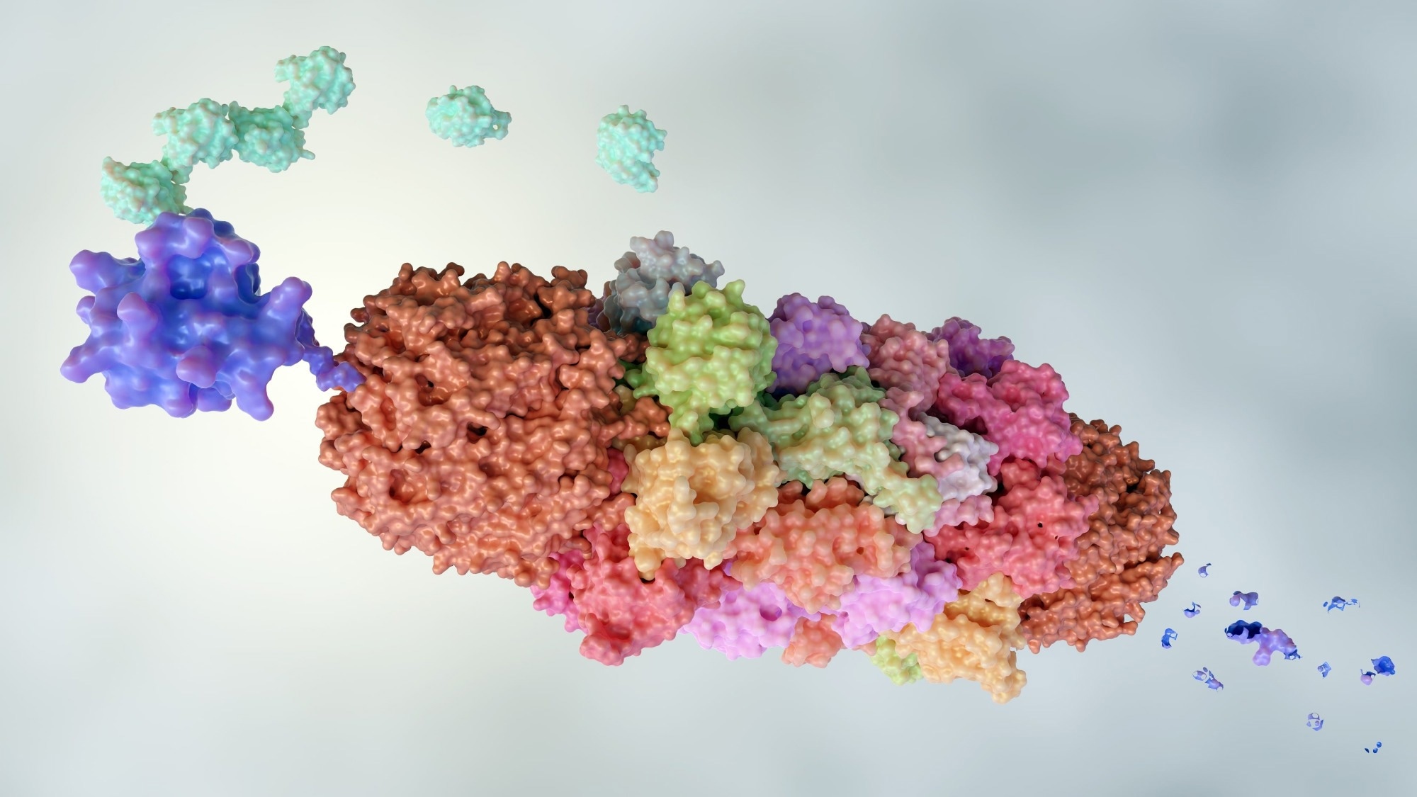 Rentosertib shifts multiple proteomic aging clocks toward younger age profiles in IPF trial