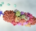 Rentosertib shifts multiple proteomic aging clocks toward younger age profiles in IPF trial