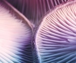 A study of more than 21,000 adults found an unusual link between psilocybin and diet
