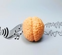 The music in psychedelic therapy may be more than background sound