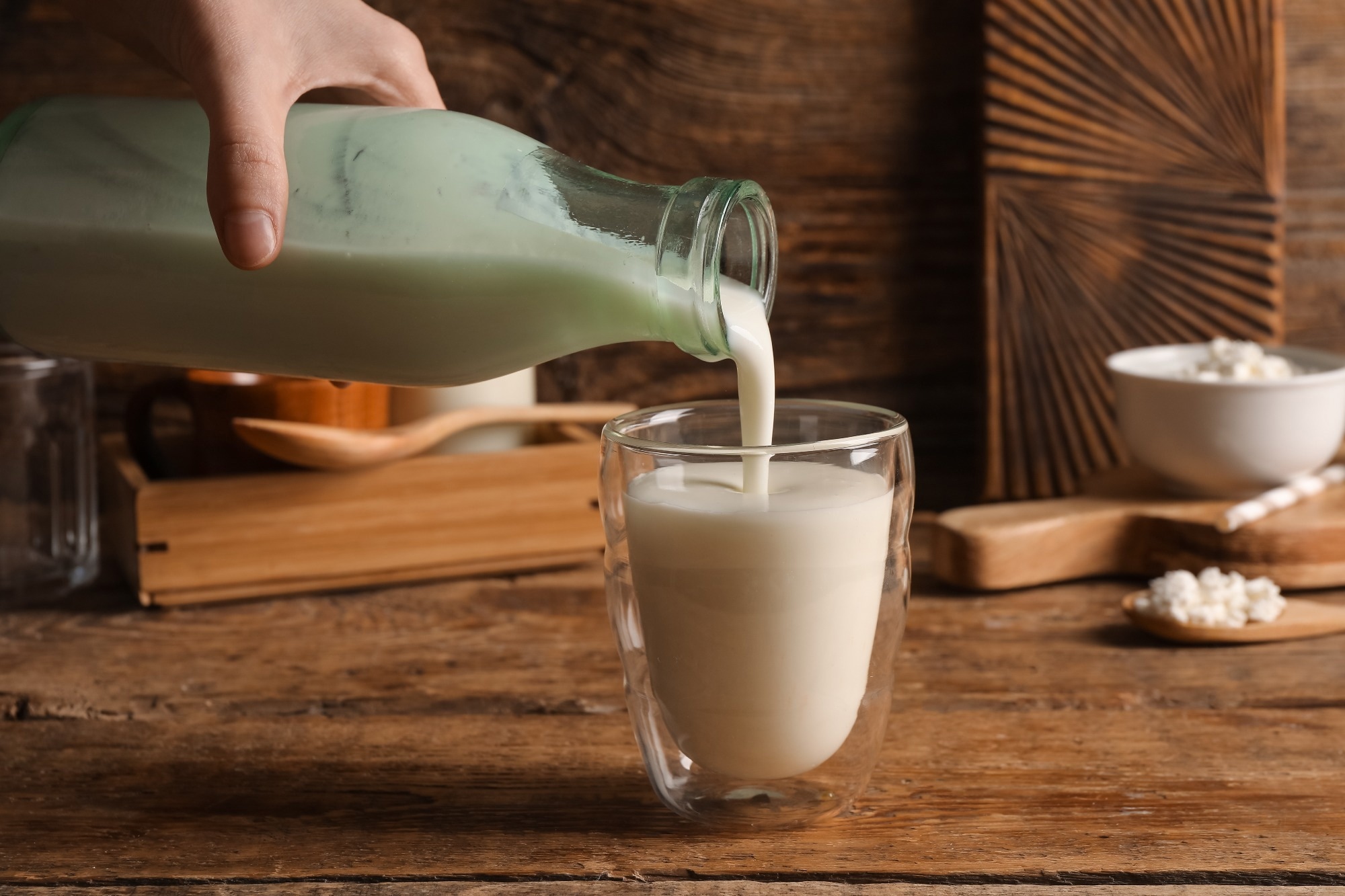 Study: Fermented dairy consumption and all-cause and cardiovascular mortality in US adults. Image Credit: Pixel-Shot / Shutterstock