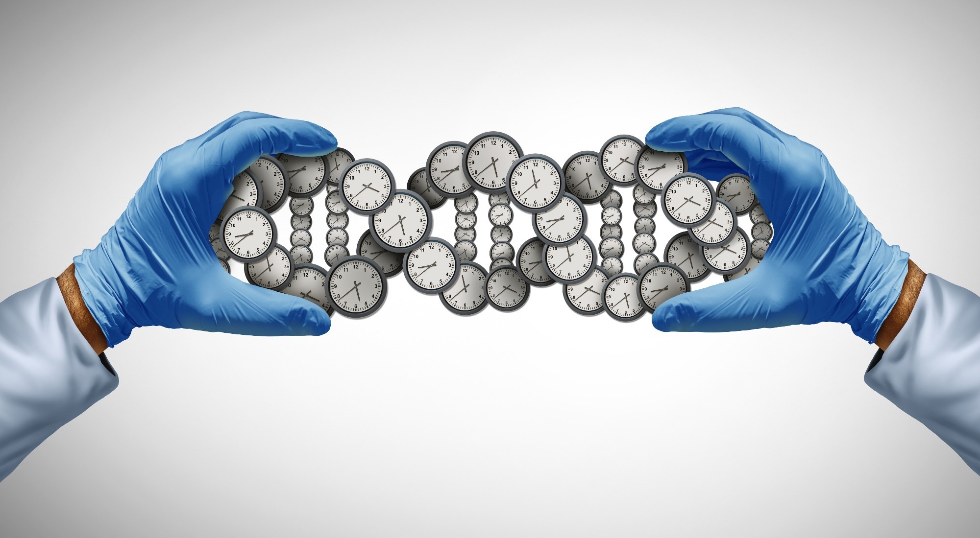 Study: Sex-specific biological aging clocks across organs and omics. Image Credit: Lightspring / Shutterstock