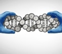 Sex-specific biological clocks reveal how aging differs across the body in women and men
