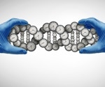 Sex-specific biological clocks reveal how aging differs across the body in women and men