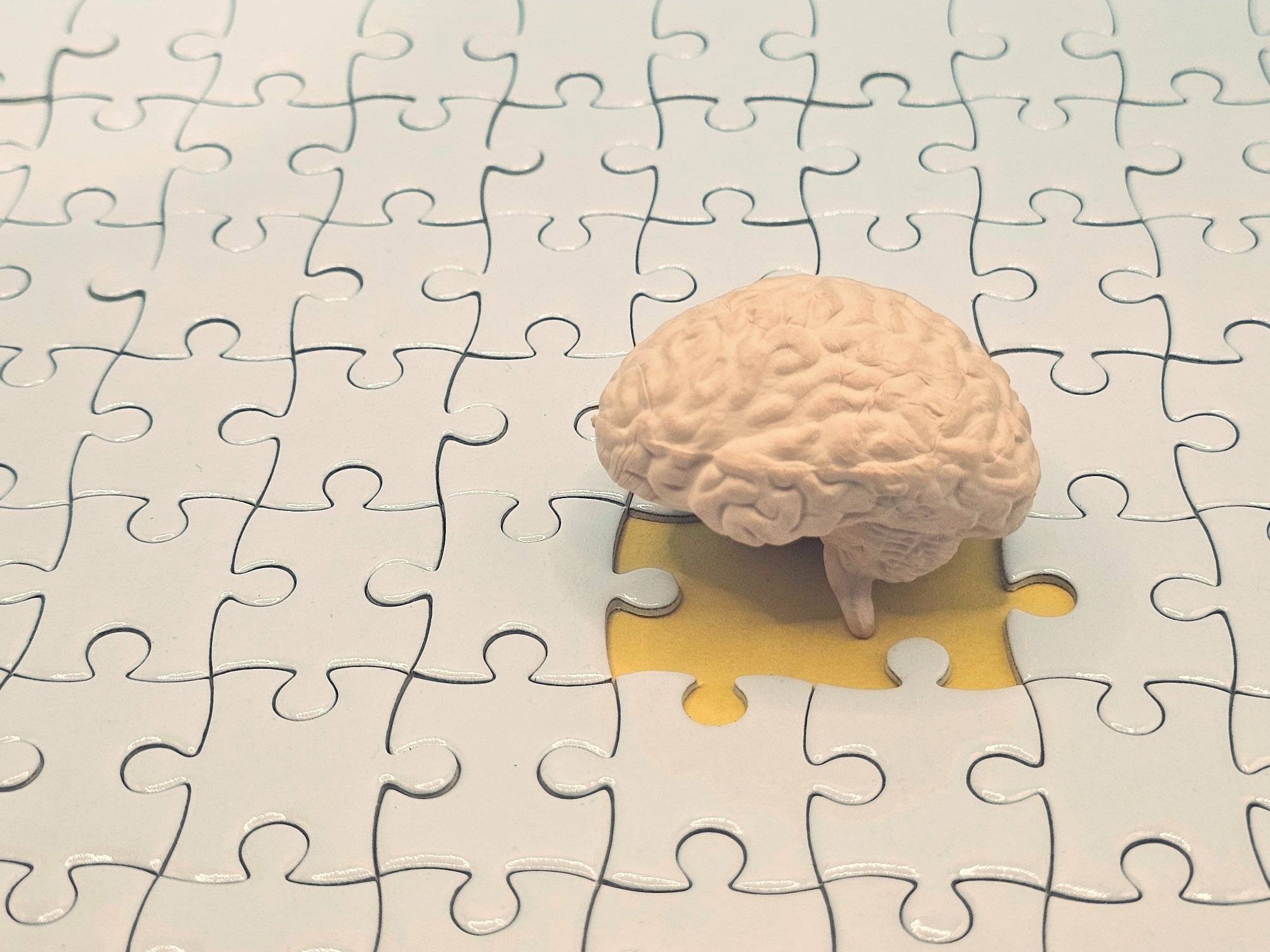 Study: Associations of physical fitness with brain structure, pathology and cognition in cognitively normal older adults. Image Credit: Efkaysim / Shutterstock