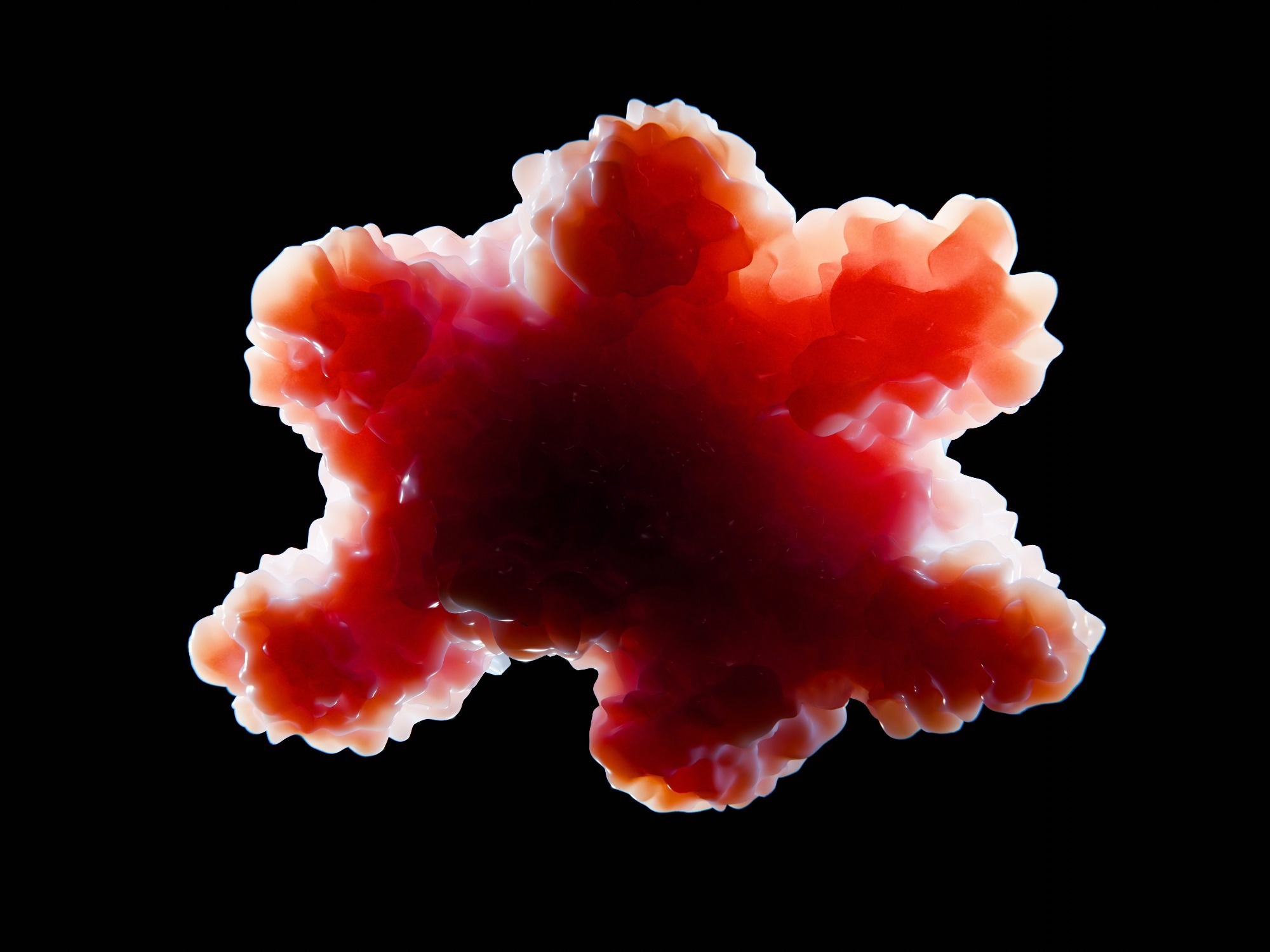 Transplanted human cortical organoids filled most of a mouse cortex. Then they began to connect