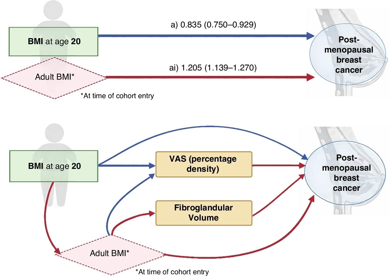 The diagram shows the total effects derived from mediation analysis of (a) BMI at 20 years and ai) BMI at cohort entry on postmenopausal breast cancer risk. It considers VAS density and fibroglandular volume measures as different measures of the MD mediator. Effects are expressed as Hazard Ratios (95% CI) per 5 kg/m² increase in BMI. Blue arrows indicate a negative association, while red arrows denote a positive association. Direct and indirect effects, and intermediate confounding pathways are depicted by arrows.