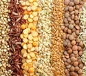 Children who ate healthier plant foods had slightly lower blood pressure later