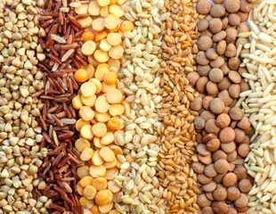 Children who ate healthier plant foods had slightly lower blood pressure later