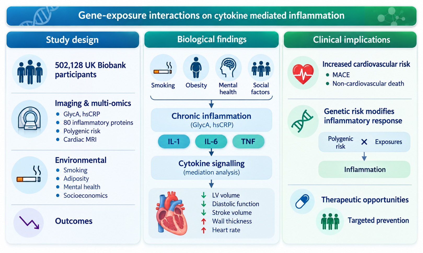 Study: Gene–environment interactions shape cytokine-mediated inflammation and cardiovascular risk