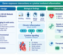 What links smoking, body fat, mental health, genes, and heart risk? Inflammation may be part of the answer
