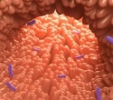 Could a parent’s hospital job shape a child’s nasal microbiome?