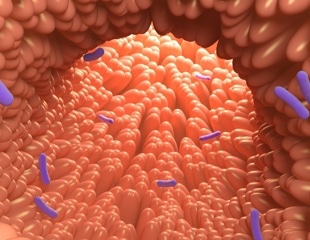 Could a parent’s hospital job shape a child’s nasal microbiome?