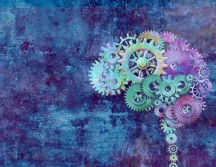 Menopause leaves a blood protein signature linked to brain aging and Alzheimer’s risk