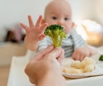 First foods bring an early functional shift in the infant gut microbiome