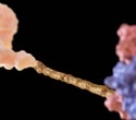 Advances in chemistry and delivery are taking oligonucleotide medicines beyond rare diseases