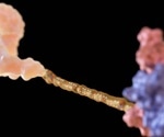 Advances in chemistry and delivery are taking oligonucleotide medicines beyond rare diseases
