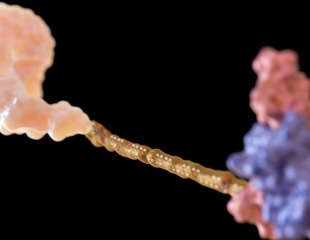 Advances in chemistry and delivery are taking oligonucleotide medicines beyond rare diseases