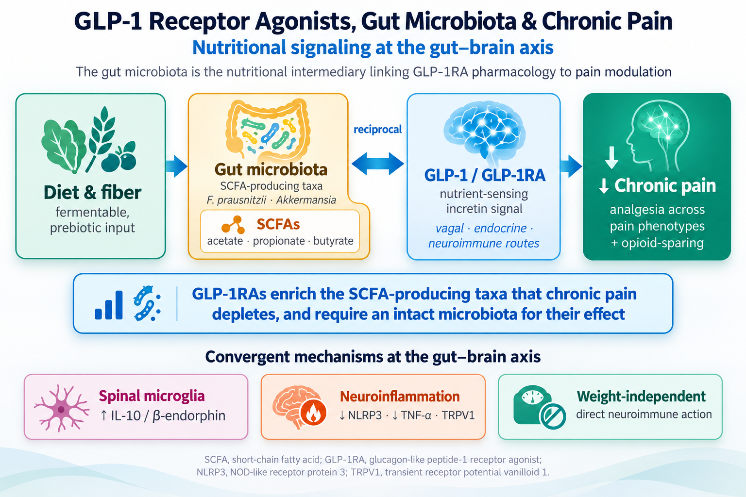 Review: GLP-1 Receptor Agonists, Gut Microbiota, and Chronic Pain: Nutritional Signaling at the Gut–Brain Axis
