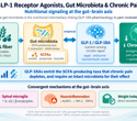 GLP-1 drugs may influence chronic pain through gut-brain and immune pathways