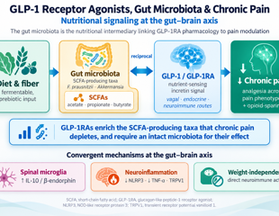GLP-1 drugs may influence chronic pain through gut-brain and immune pathways